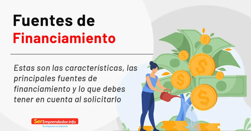 Fuentes De Financiamiento. Qué Son Y Qué Opciones Existen